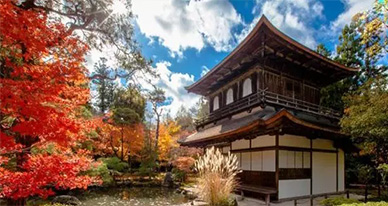 喜欢日式庭园怎能不了解其历史呢